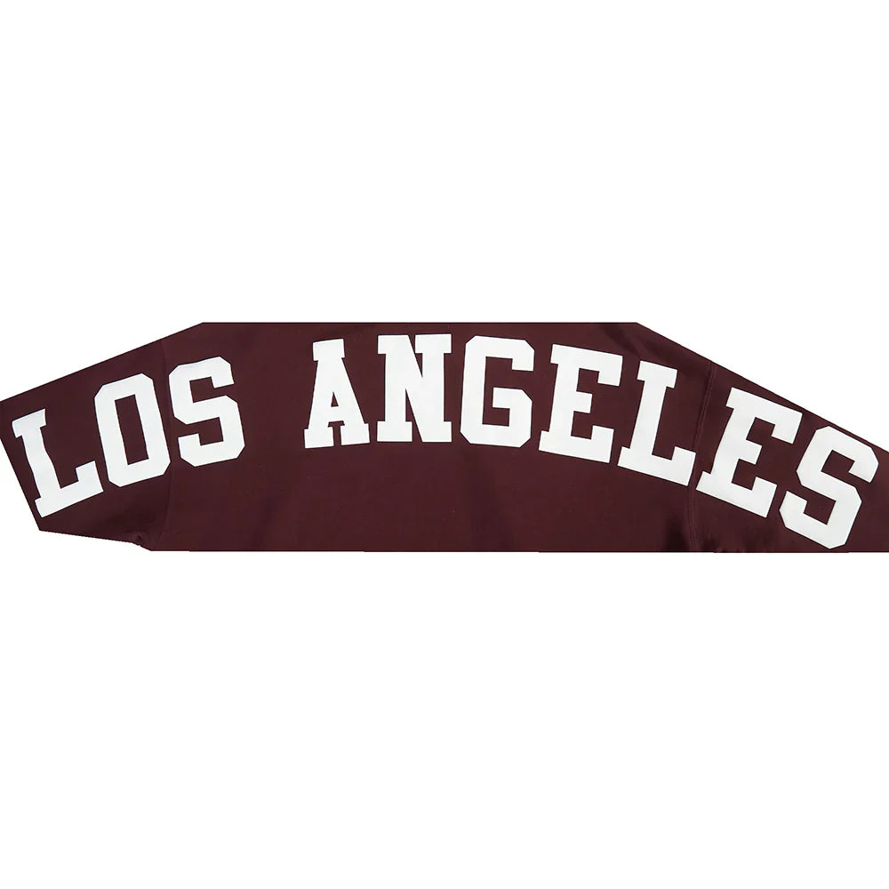 LA Dodgers Wingspan Drop Shoulder Hoodie | Wine