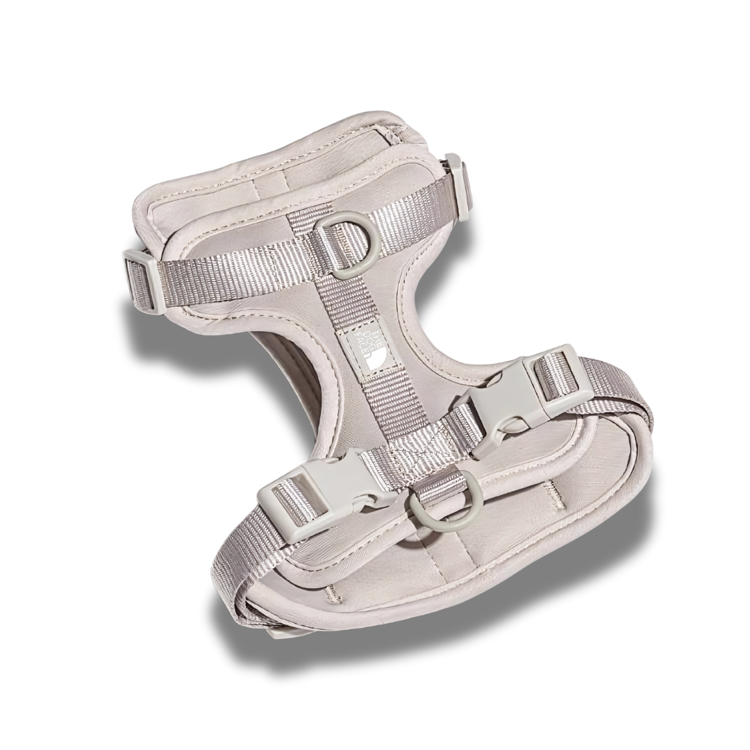 Summit Series Harness
