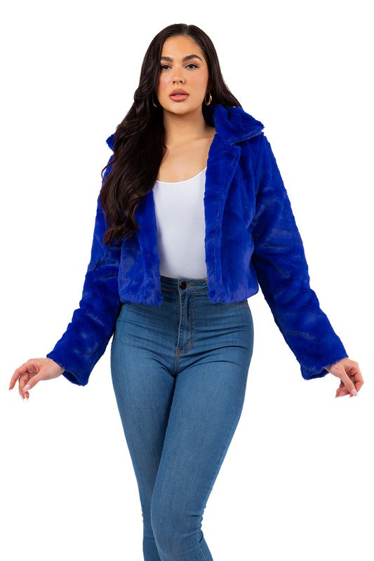 Fur Teddy Cropped Jacket