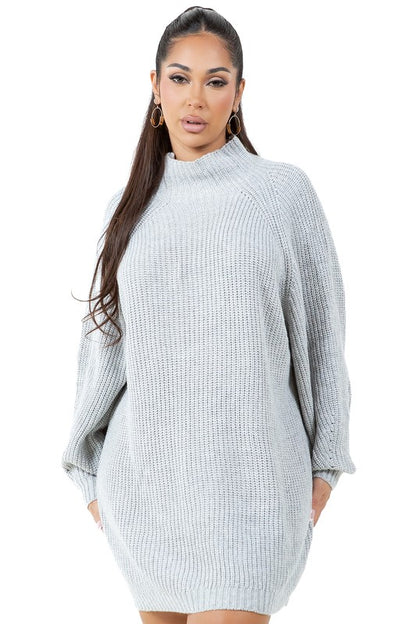 Long Sleeve Turtleneck Sweater Dress