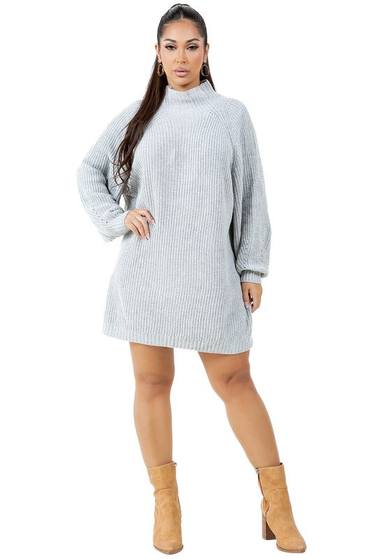 Long Sleeve Turtleneck Sweater Dress