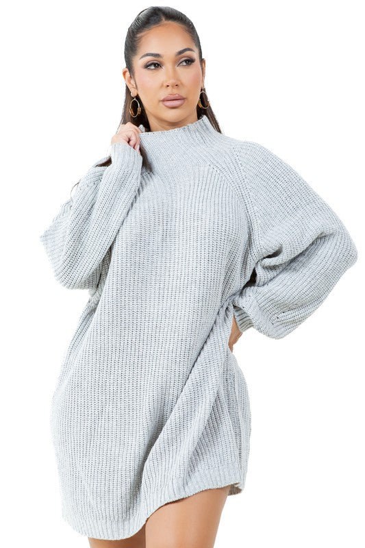 Long Sleeve Turtleneck Sweater Dress