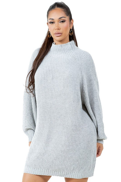 Long Sleeve Turtleneck Sweater Dress