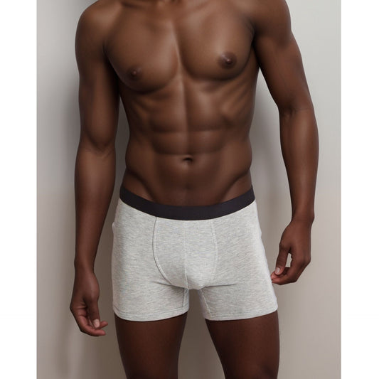 Apex  Micro Modal Boxer Briefs