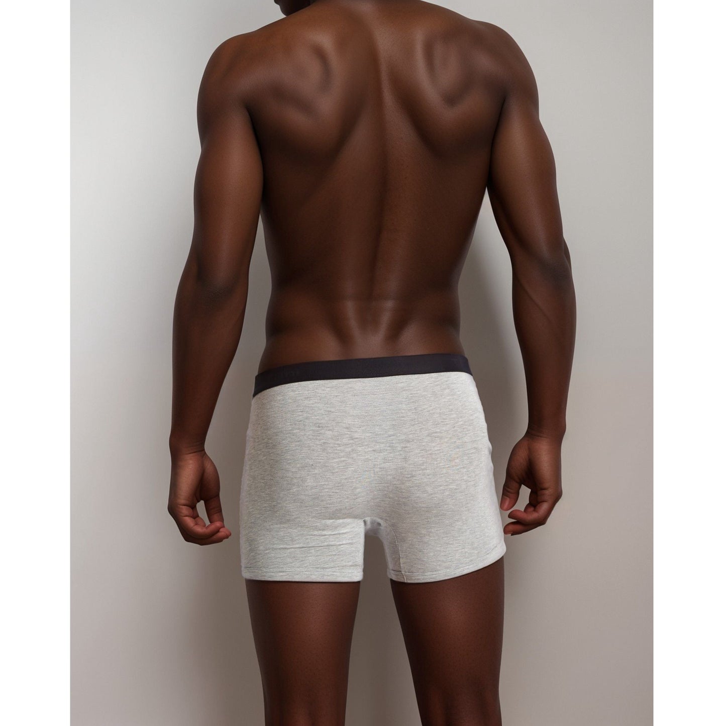 Apex  Micro Modal Boxer Briefs