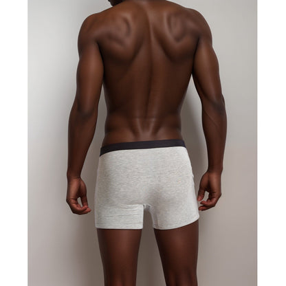 Apex  Micro Modal Boxer Briefs