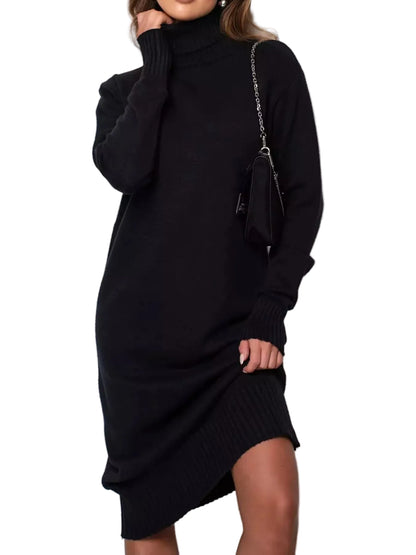 Turtleneck Ribbed Knit Sweater Dress