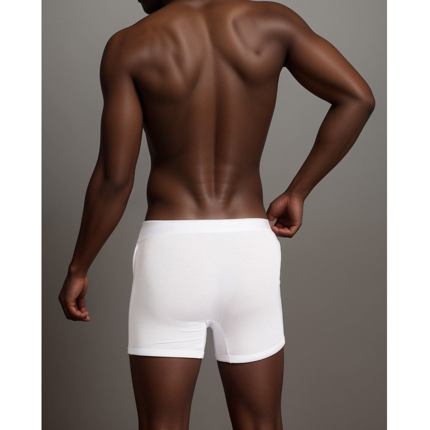 Apex  Micro Modal Boxer Briefs
