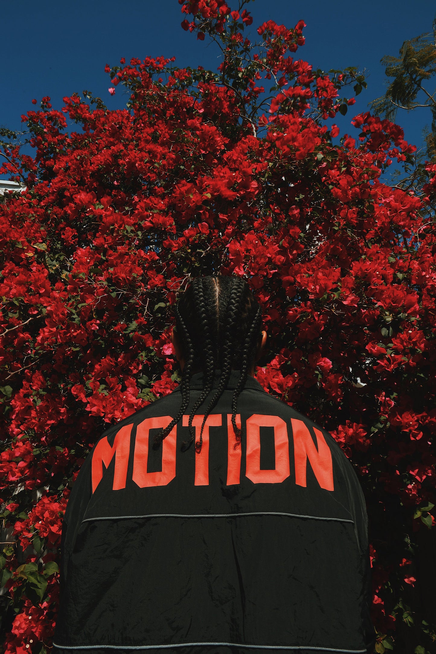 Motion Nylon Jacket | bRED