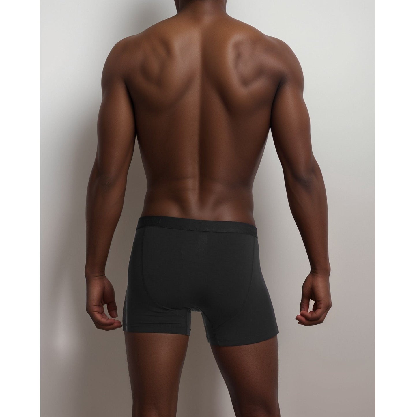 Apex  Micro Modal Boxer Briefs