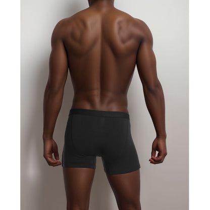 Apex  Micro Modal Boxer Briefs