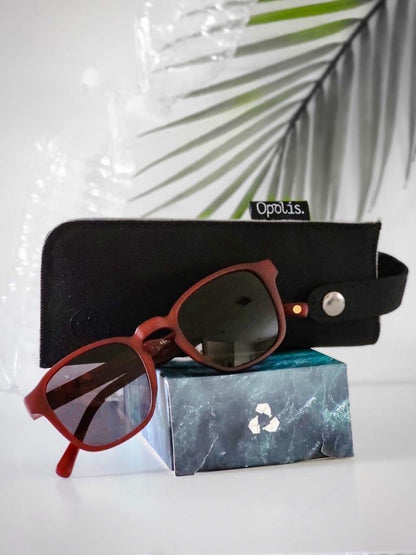 Briny Sunglasses
