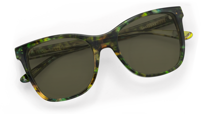 Caladesi Sunglasses