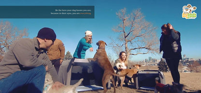 The Foldable Travel Dog Crate