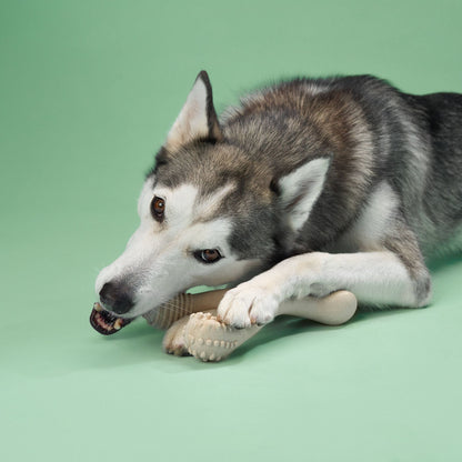 BetterBone | Medium Chew