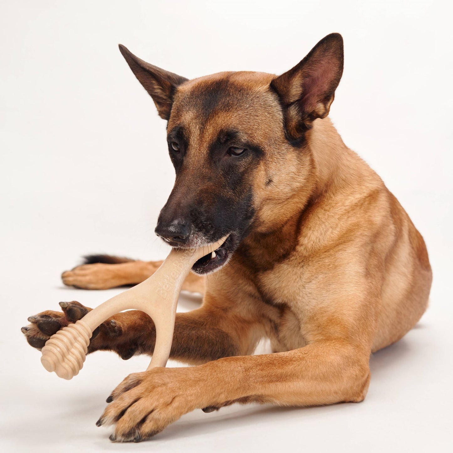 BetterBone | Medium Chew