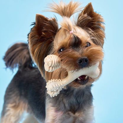 BetterBone | Soft Chew
