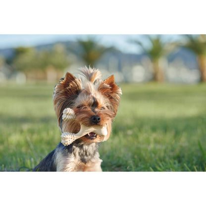 BetterBone | Hard Chew