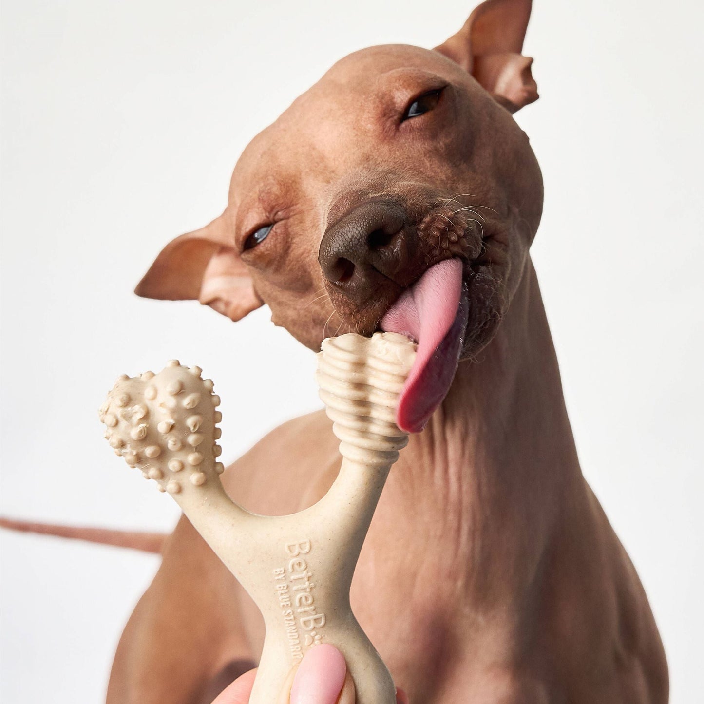 BetterBone | Soft Chew