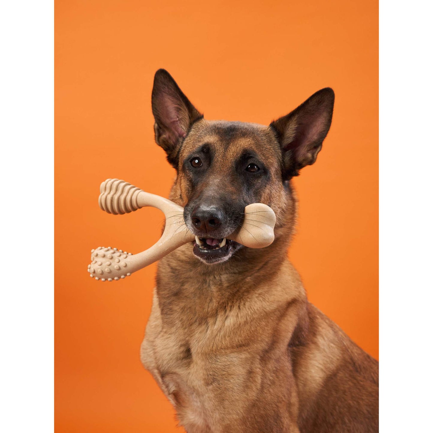 BetterBone | Hard Chew