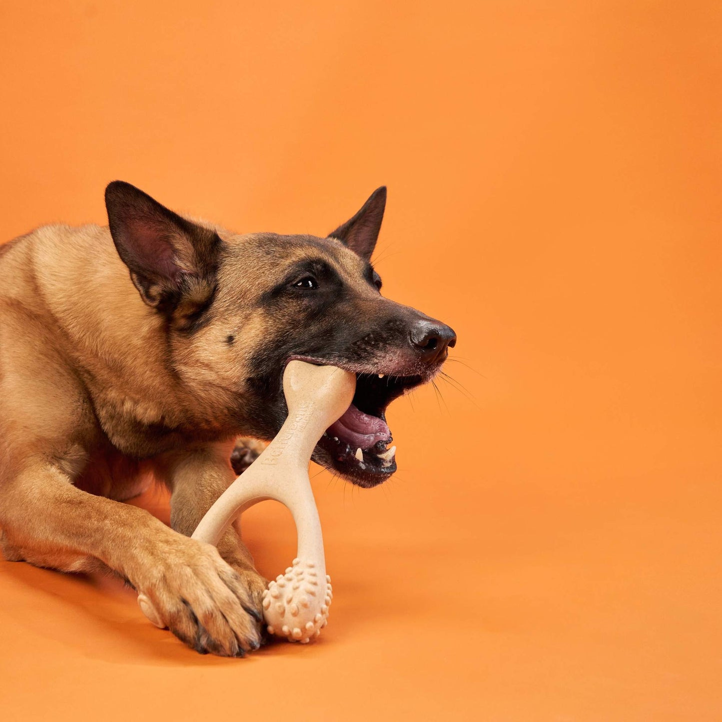 BetterBone | Hard Chew