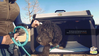 The Foldable Travel Dog Crate