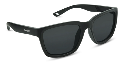Folly Sunglasses