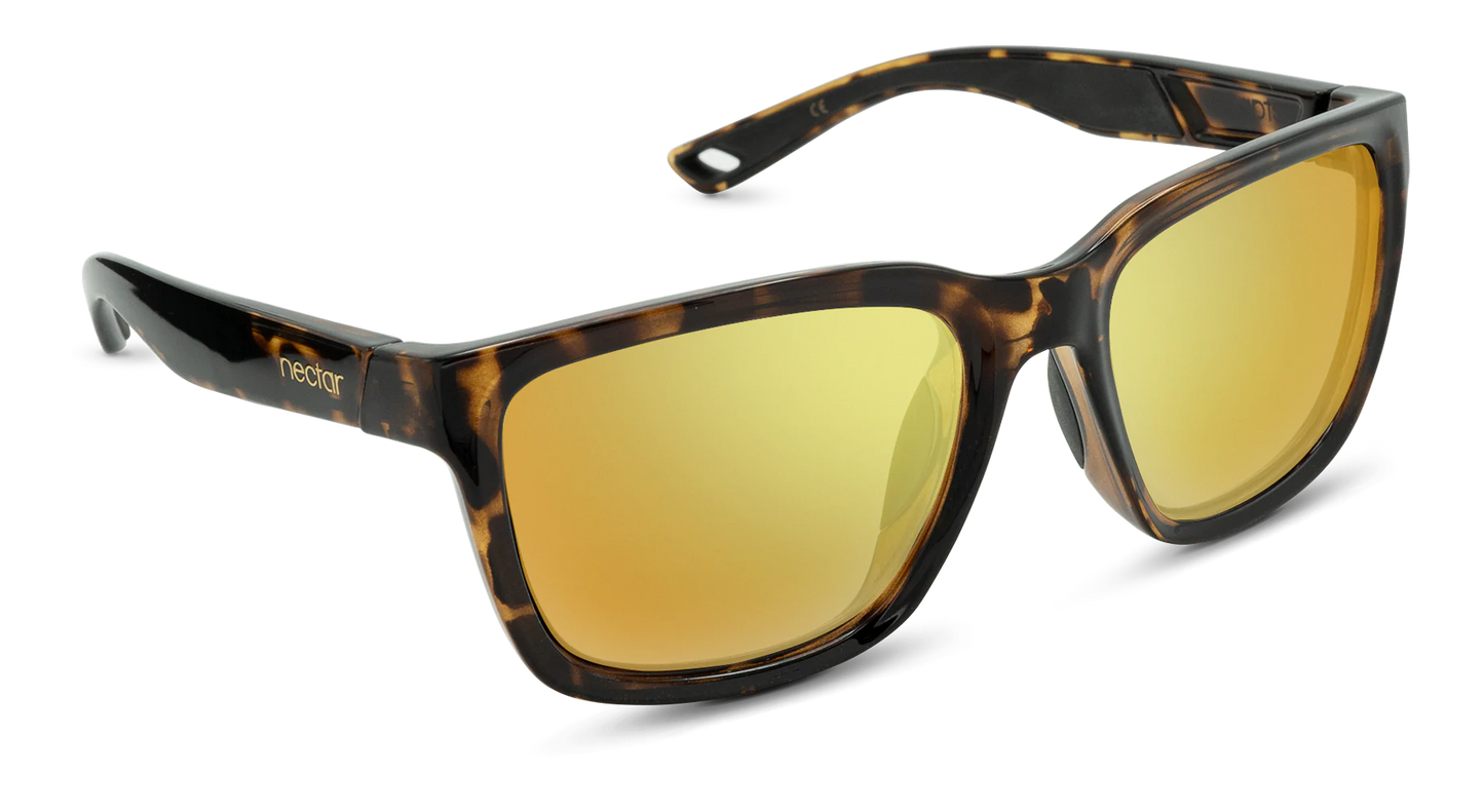 Folly Sunglasses
