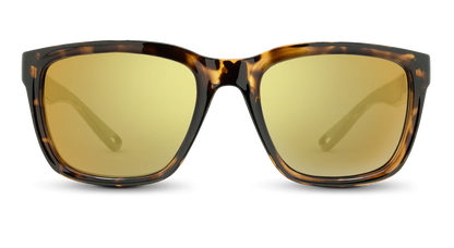 Folly Sunglasses