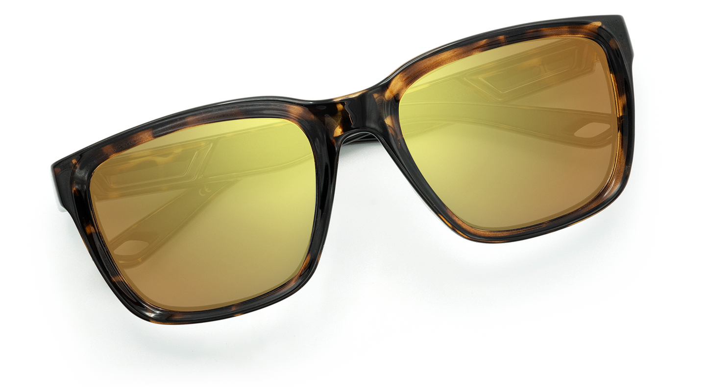 Folly Sunglasses