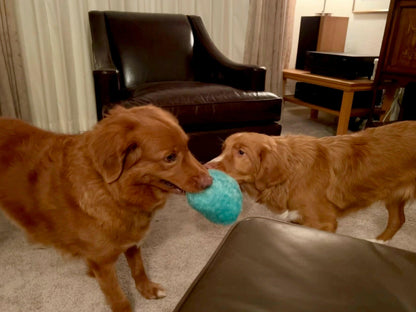 Gumdropimalz: Fun Dog Toy Grunters