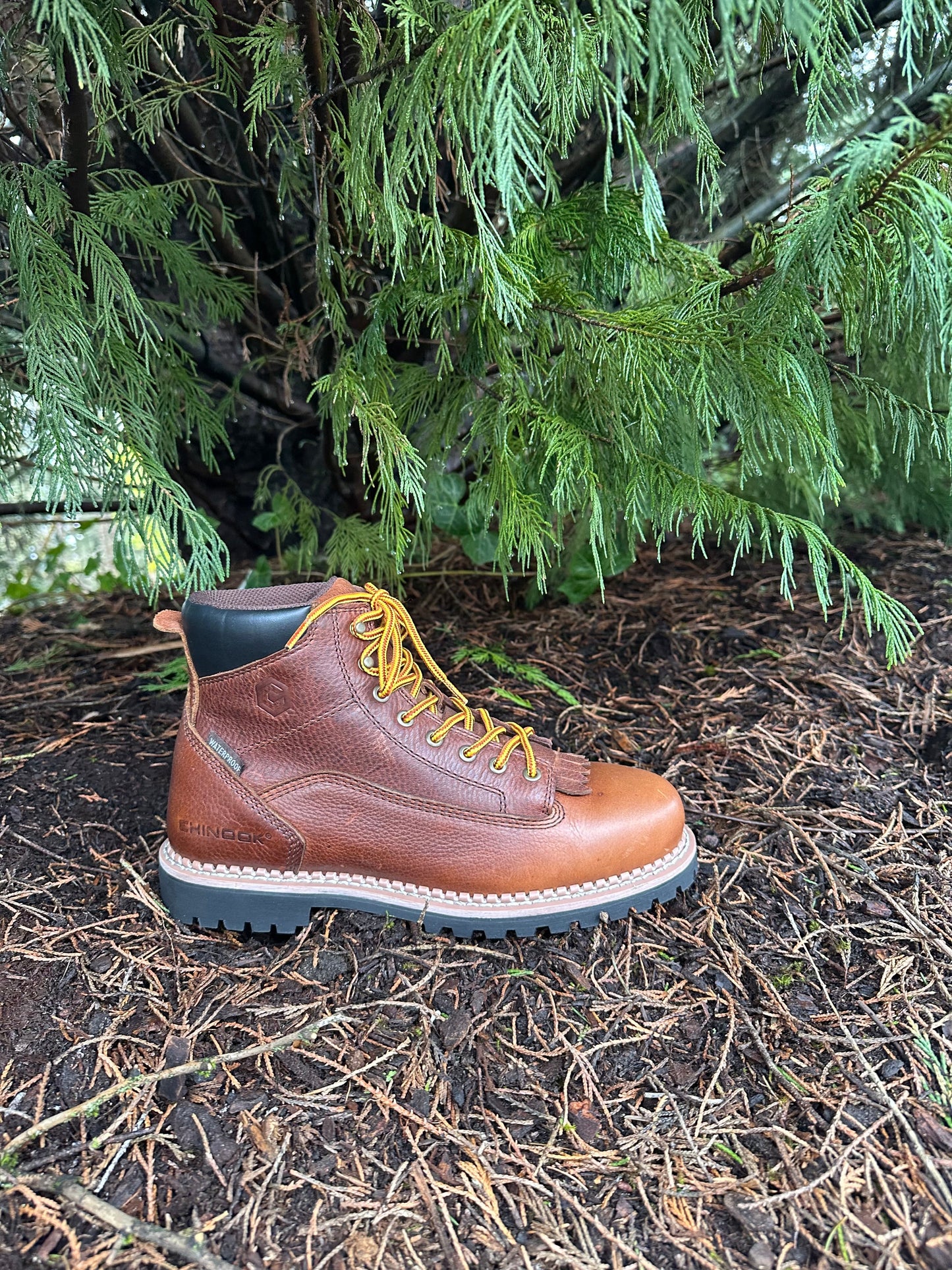 Logger 6” Men’s Waterproof Work Boot