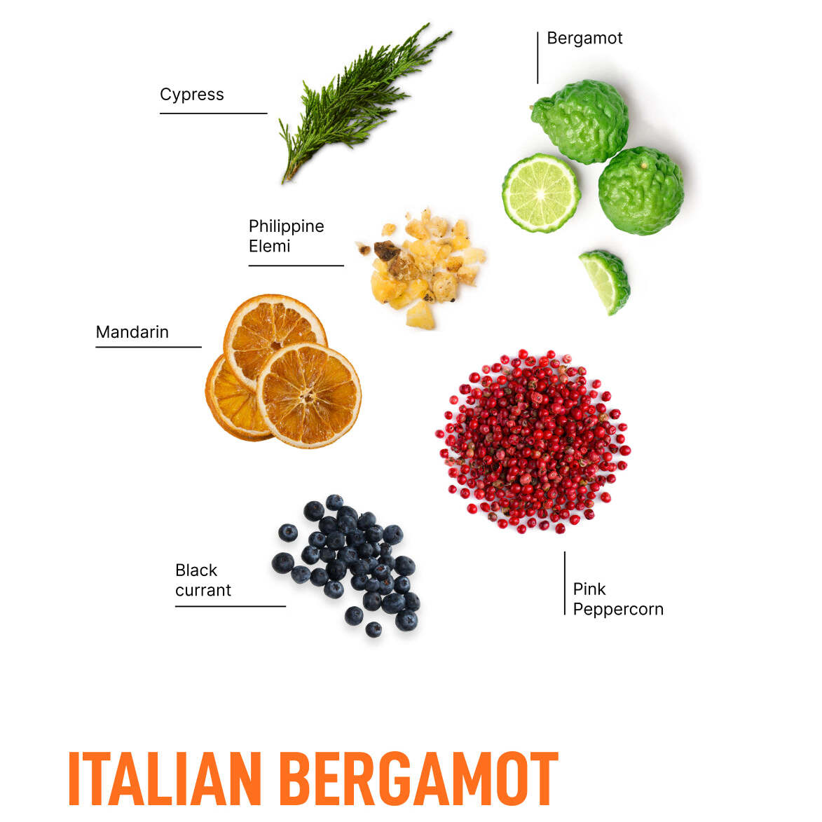 Advanced In-Wash Scent Booster