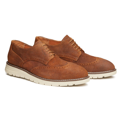 STEEL TOE  OXFORD SHOE MASTER GINGER
