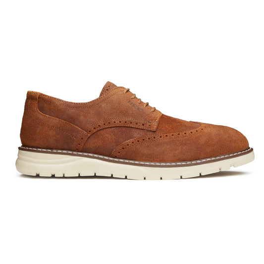 STEEL TOE  OXFORD SHOE MASTER GINGER