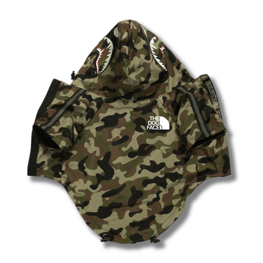 Mountain Quest Jacket