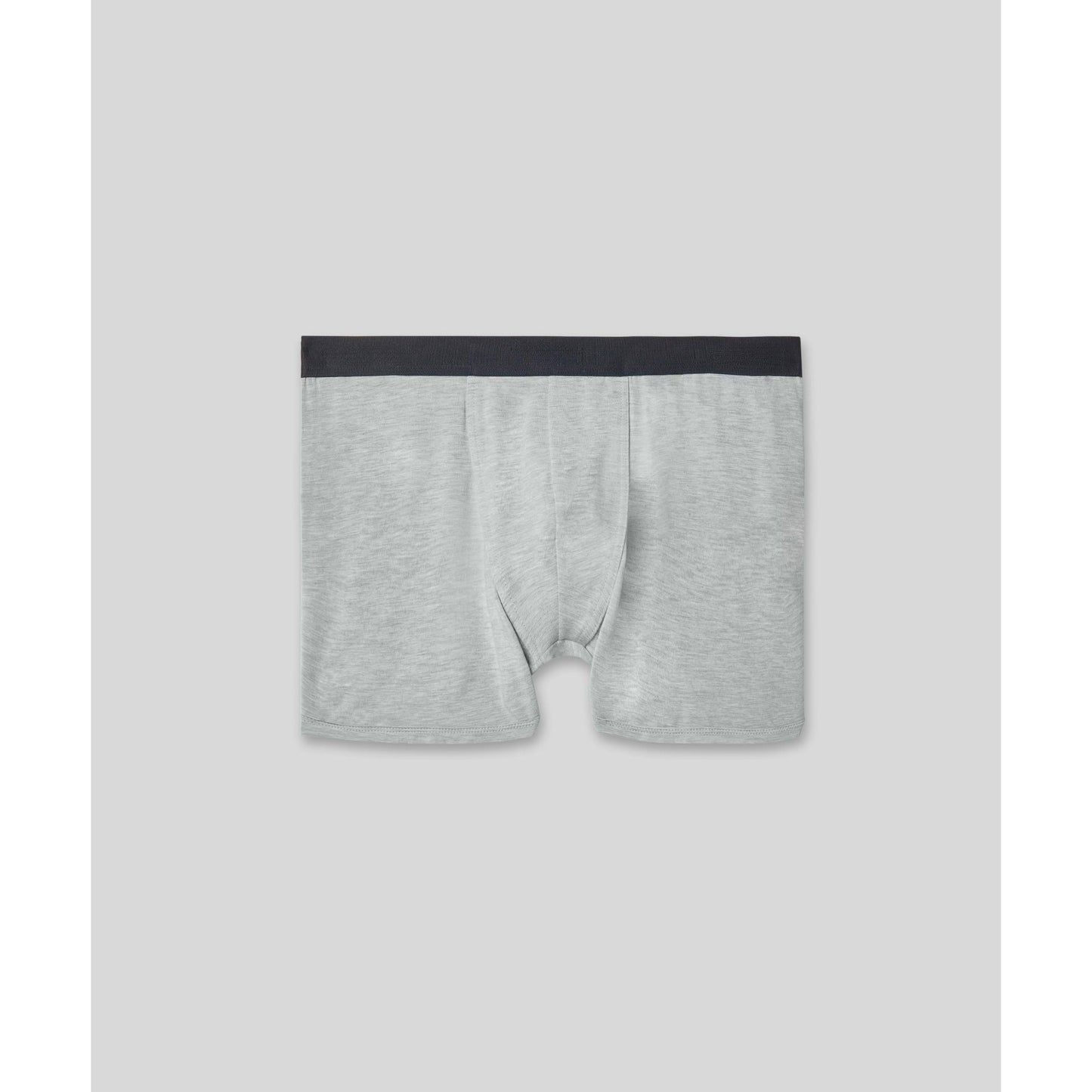 Apex  Micro Modal Boxer Briefs