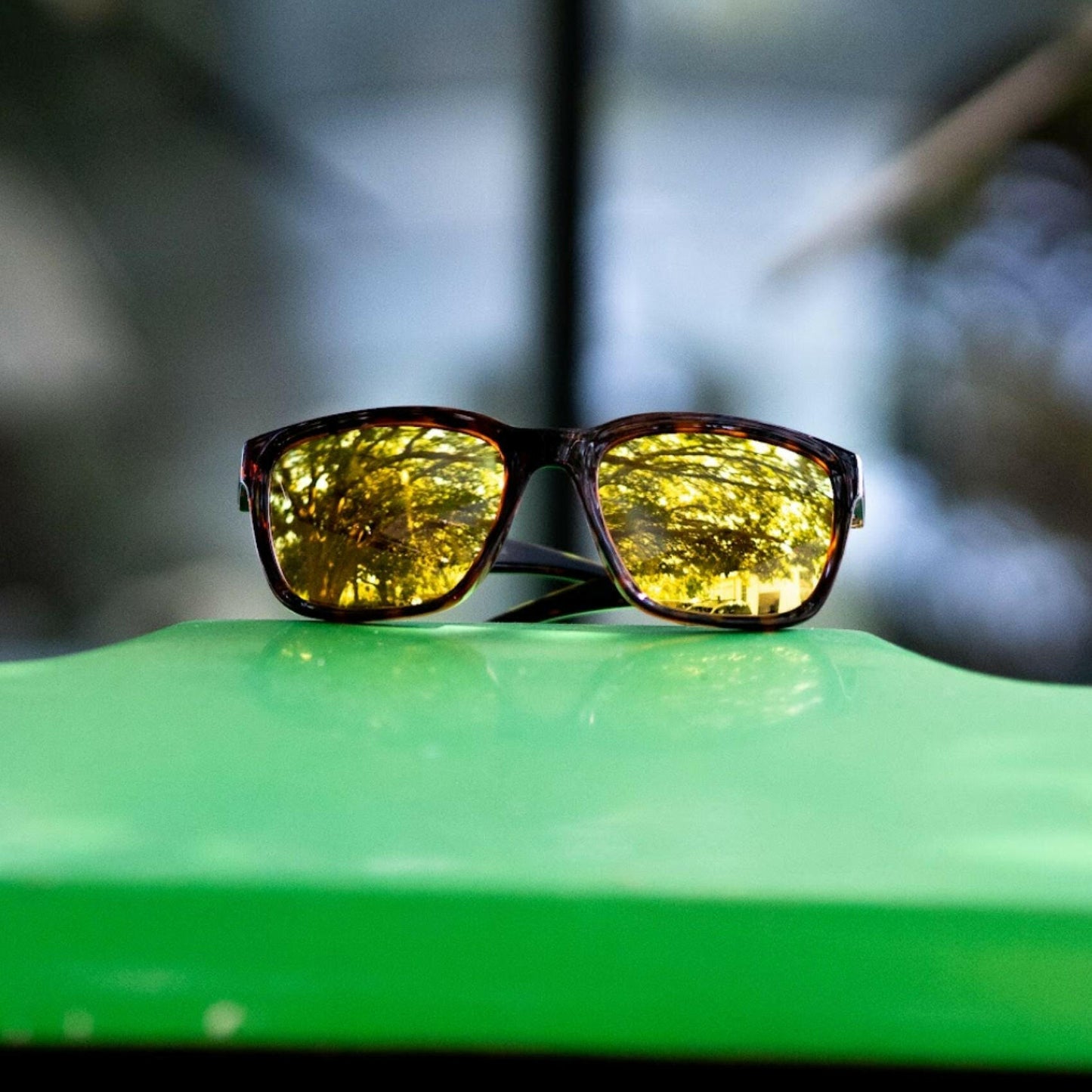 Folly Sunglasses