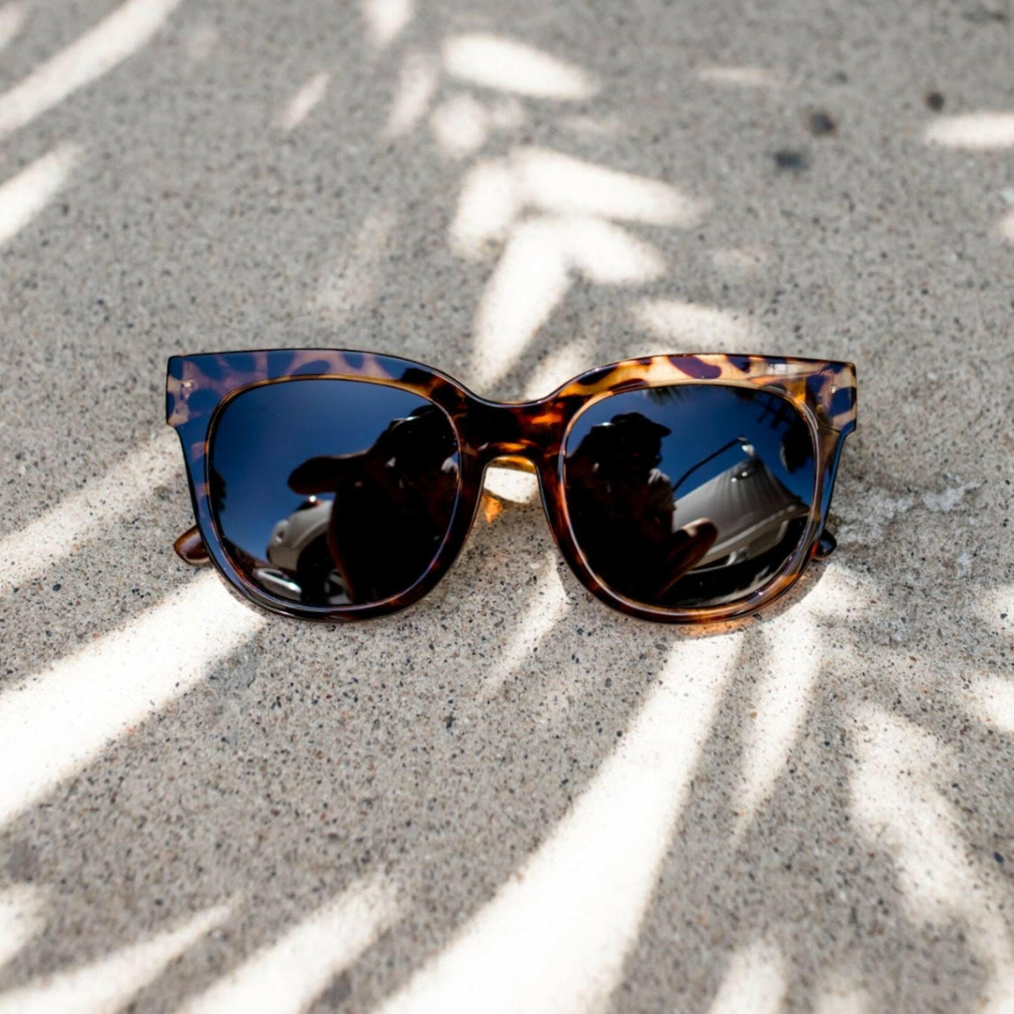 Chatham Sunglasses