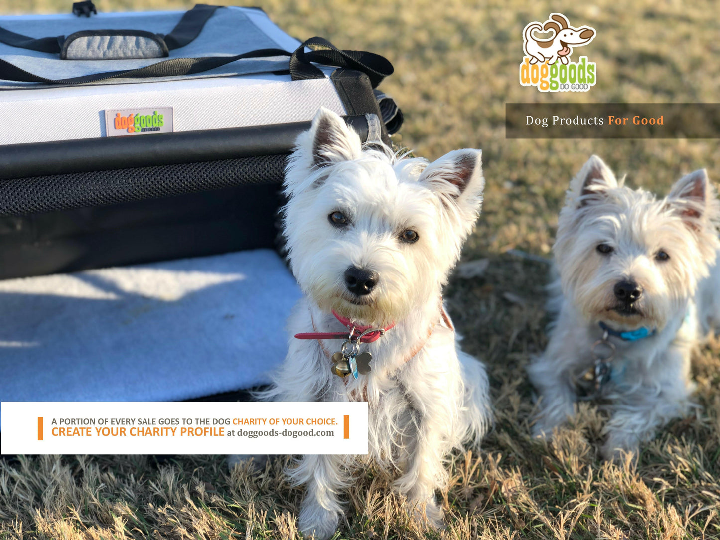 The Foldable Travel Dog Crate