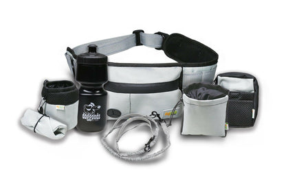 Dog Leash Fanny Pack (The Everything Leash)
