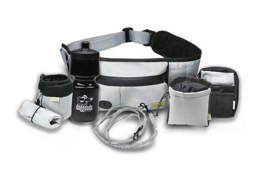 Dog Leash Fanny Pack (The Everything Leash)