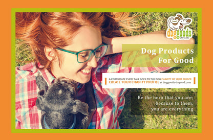 Dog Leash Fanny Pack (The Everything Leash)