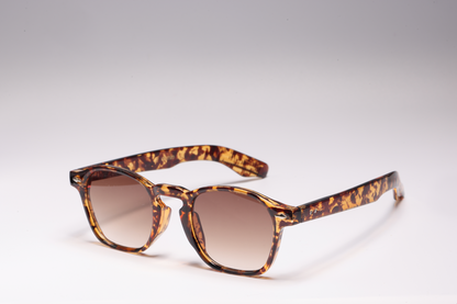 Venice | Sunglasses