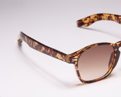 Venice | Sunglasses