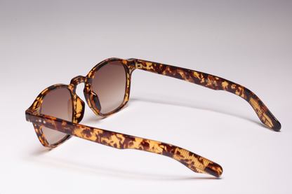 Venice | Sunglasses