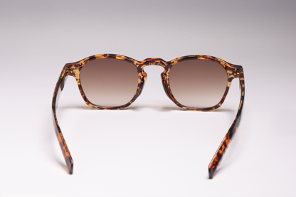 Venice | Sunglasses