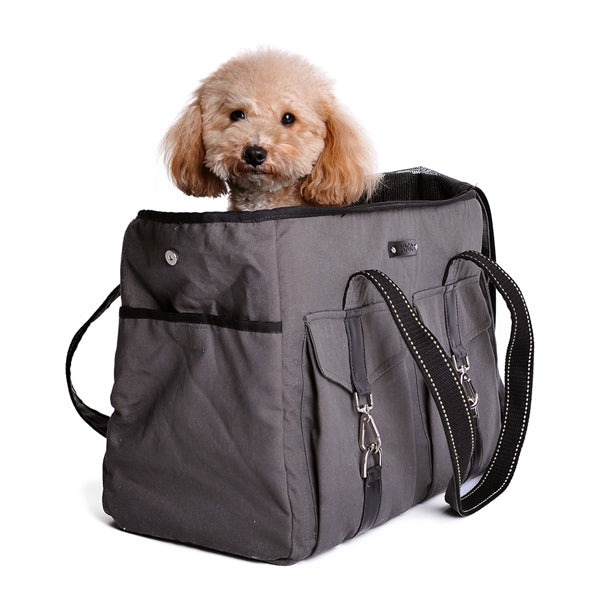 Buckle Tote