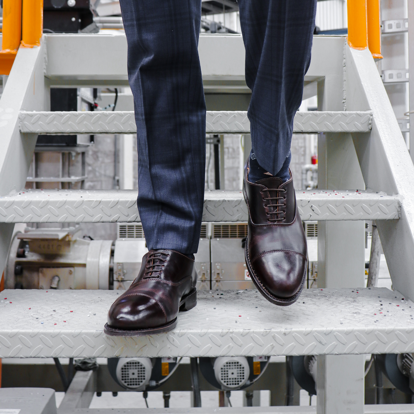 STEEL TOE EXECUTIVE SHOE CEO BROWN