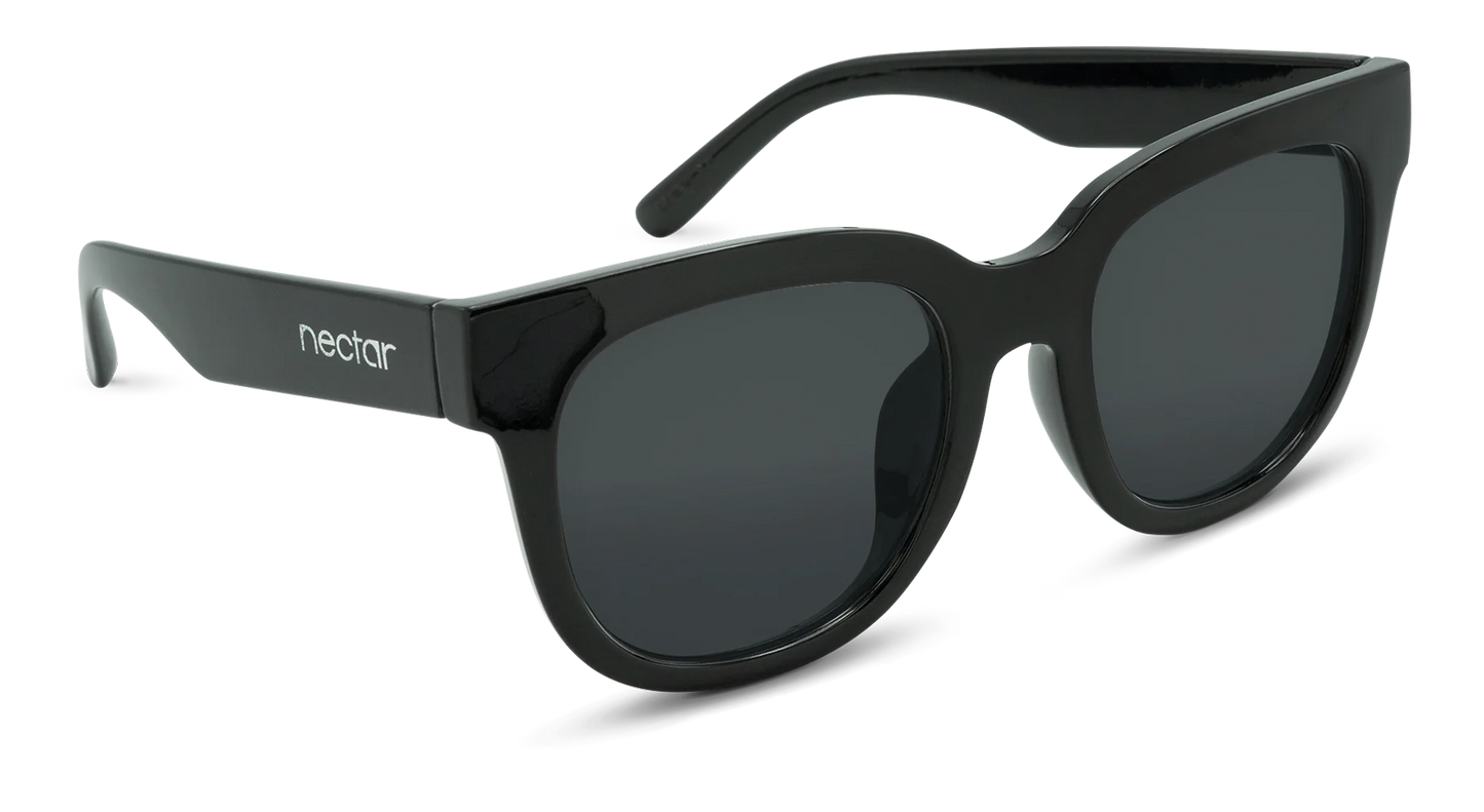 Chatham Sunglasses